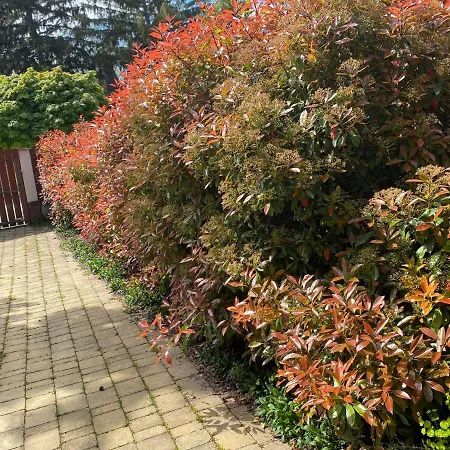 B4 Garden *** Holiday home *