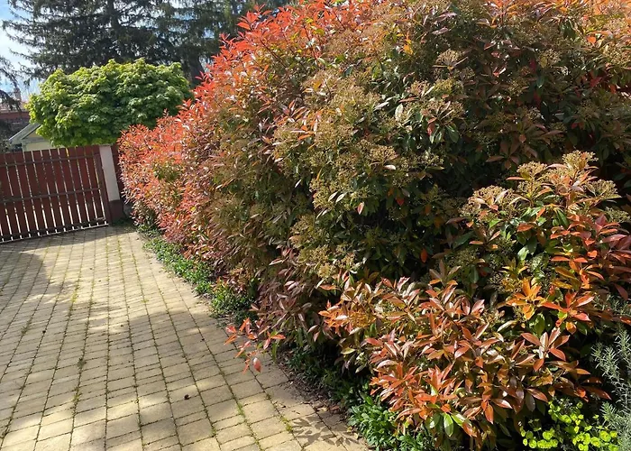 B4 Garden *** 度假居 *